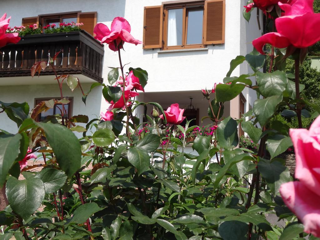 Aparthotel Schuetzenhof à Sattendorf Extérieur photo